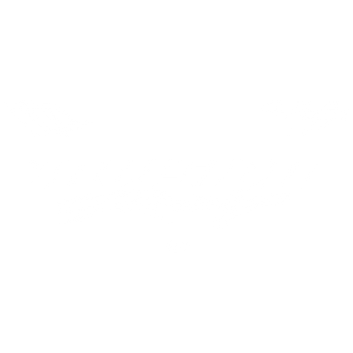 Invision Racing